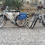 Sofia Bike Rental – колела под наем | София